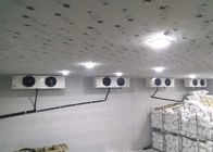 Sala fria refrigerando personalizada da densidade da sala de armazenamento 42KG/M3 do painel de 100mm para o armazenamento da carne