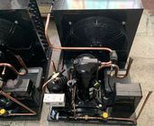 Unidade de refrigeração ZSI09KQE da sala do congelador de HFC R404a 3HP -23℃ de baixa temperatura