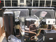 O ar de CAJ4461YHR Tecumseh refrigerou o sistema de refrigeração de condensação hermético da unidade 1/2HP R134a