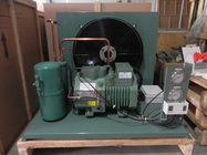 Unidades de refrigeração de condensação do armazenamento frio da unidade de 4CES 6Y 404a