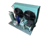 O ar de 4EES 4 4EES 4Y refrigerou a unidade de condensação para o frezeer e o refrigerador com compressor de Bitzer