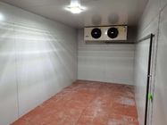 salas frias comerciais 0.8mm brancas frias do refrigerador 0.6mm Colorbond da sala 220-380V