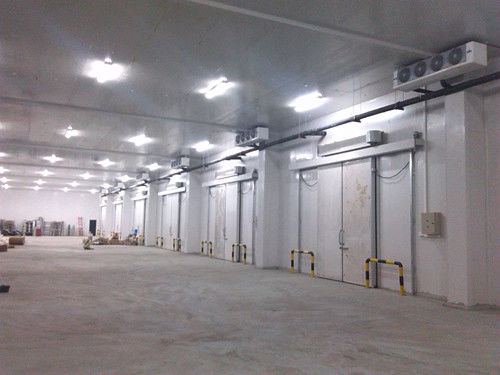 sala comercial do congelador do painel da sala de armazenamento frio 100mm do fruto de 1160mm