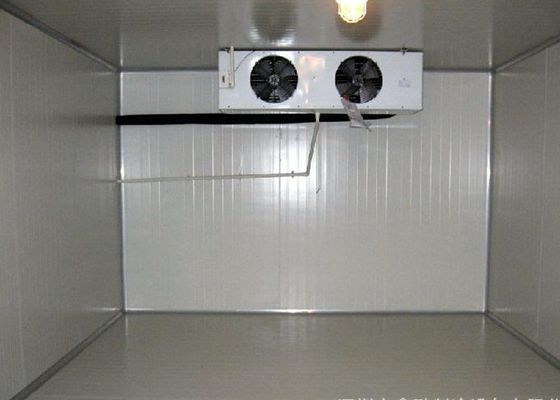 Frio do ângulo direito 380V 220V e sala da sala 2,8 * 3,0 * 2.6M Walk In Freezer do congelador