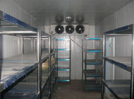 Caminhada do ângulo direito SS304 na sala industrial do congelador do painel de Coldroom 200mm