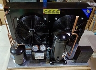 Armazenamento frio hermético da unidade 40m3 6HP CCC do compressor da refrigeração do rolo de Copeland